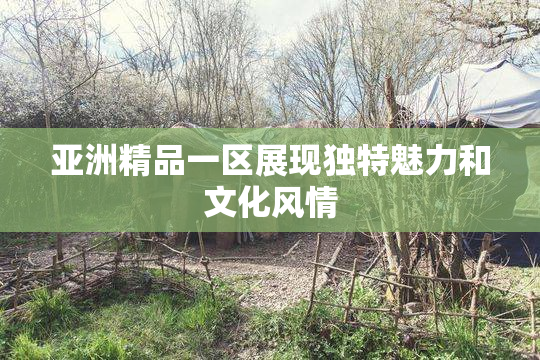 亚洲精品一区展现独特魅力和文化风情