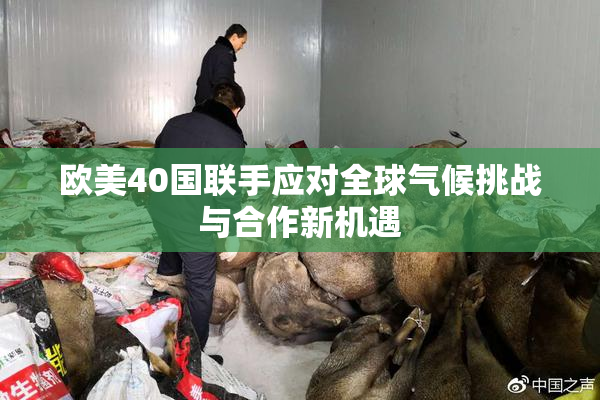 欧美40国联手应对全球气候挑战与合作新机遇