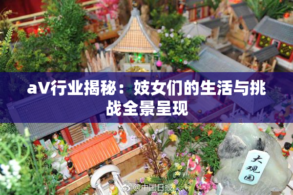 aV行业揭秘：妓女们的生活与挑战全景呈现