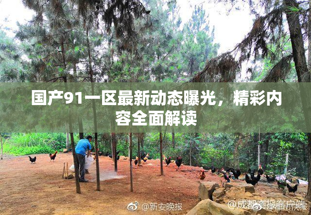 国产91一区最新动态曝光，精彩内容全面解读