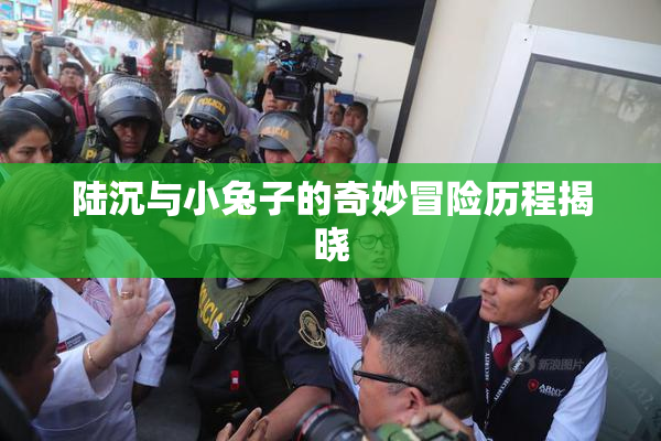 陆沉与小兔子的奇妙冒险历程揭晓