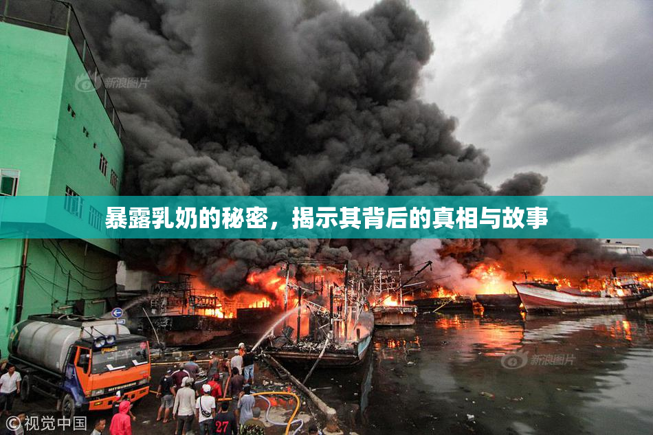 暴露乳奶的秘密，揭示其背后的真相与故事
