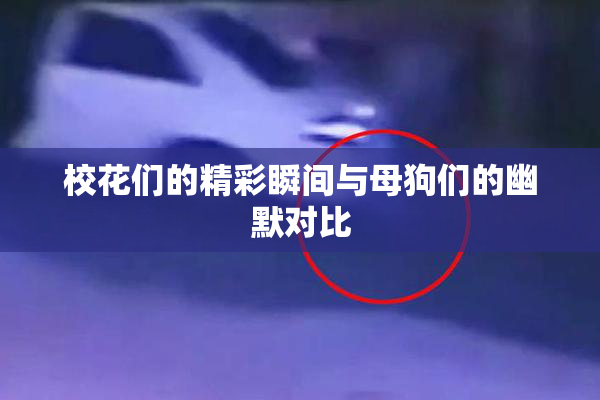 校花们的精彩瞬间与母狗们的幽默对比