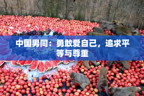 中国男同：勇敢爱自己，追求平等与尊重