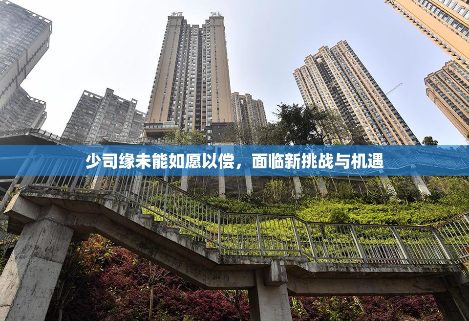 少司缘未能如愿以偿，面临新挑战与机遇