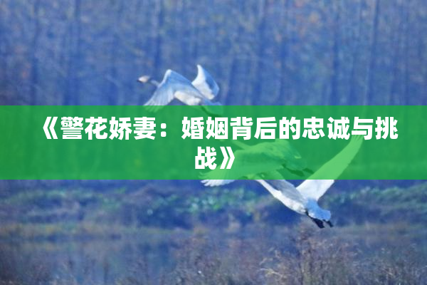 《警花娇妻：婚姻背后的忠诚与挑战》