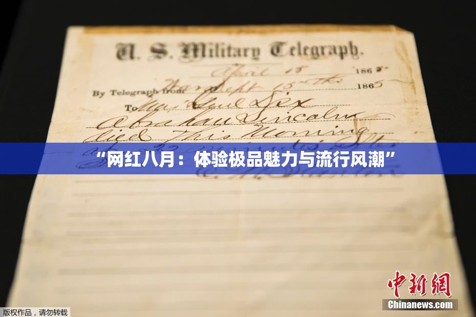 “网红八月：体验极品魅力与流行风潮”