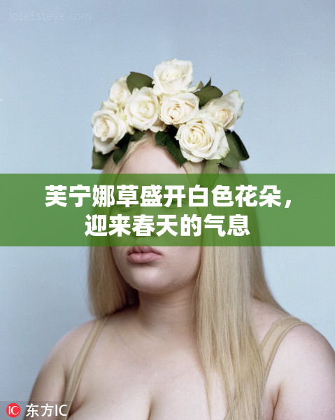 芙宁娜草盛开白色花朵，迎来春天的气息