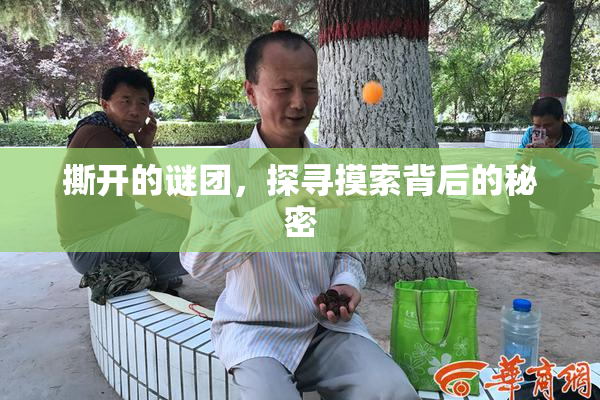 撕开的谜团，探寻摸索背后的秘密