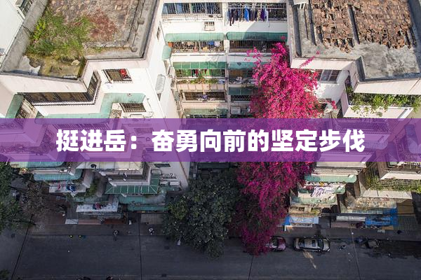 挺进岳：奋勇向前的坚定步伐