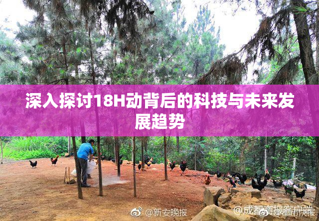 深入探讨18H动背后的科技与未来发展趋势