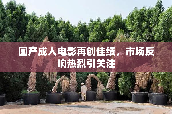 国产成人电影再创佳绩，市场反响热烈引关注