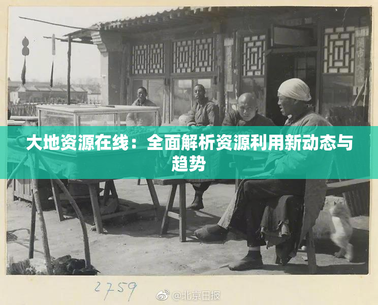 大地资源在线：全面解析资源利用新动态与趋势