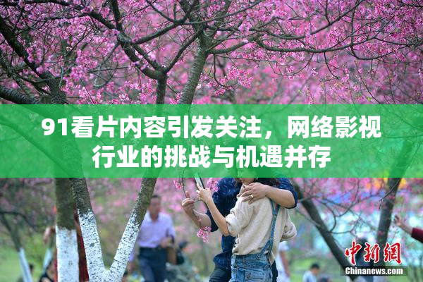 91看片内容引发关注，网络影视行业的挑战与机遇并存