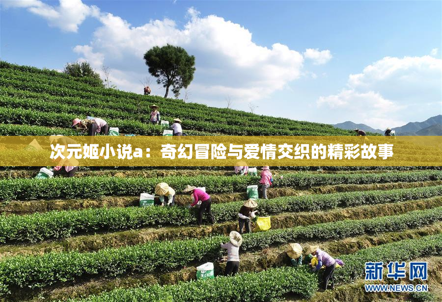 次元姬小说a：奇幻冒险与爱情交织的精彩故事