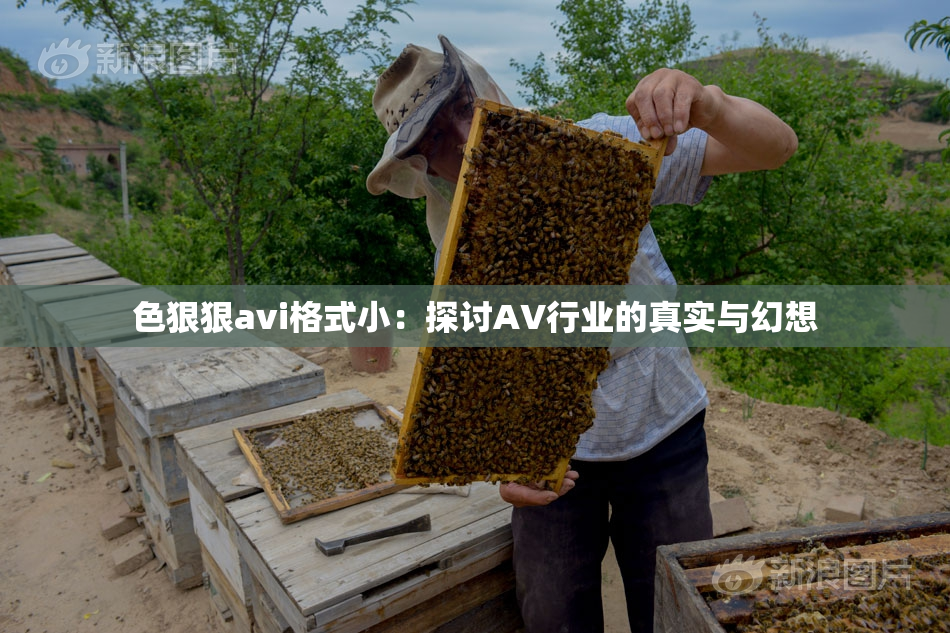 色狠狠avi格式小：探讨AV行业的真实与幻想