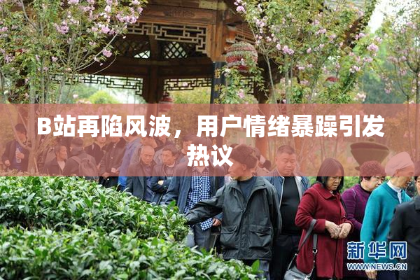 B站再陷风波，用户情绪暴躁引发热议
