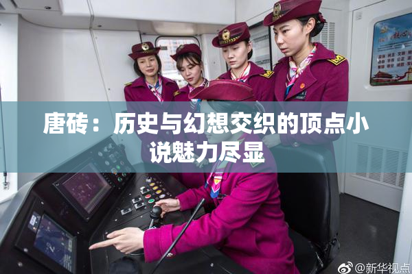 唐砖：历史与幻想交织的顶点小说魅力尽显