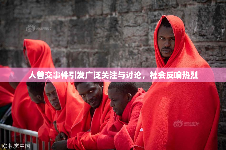 人兽交事件引发广泛关注与讨论，社会反响热烈