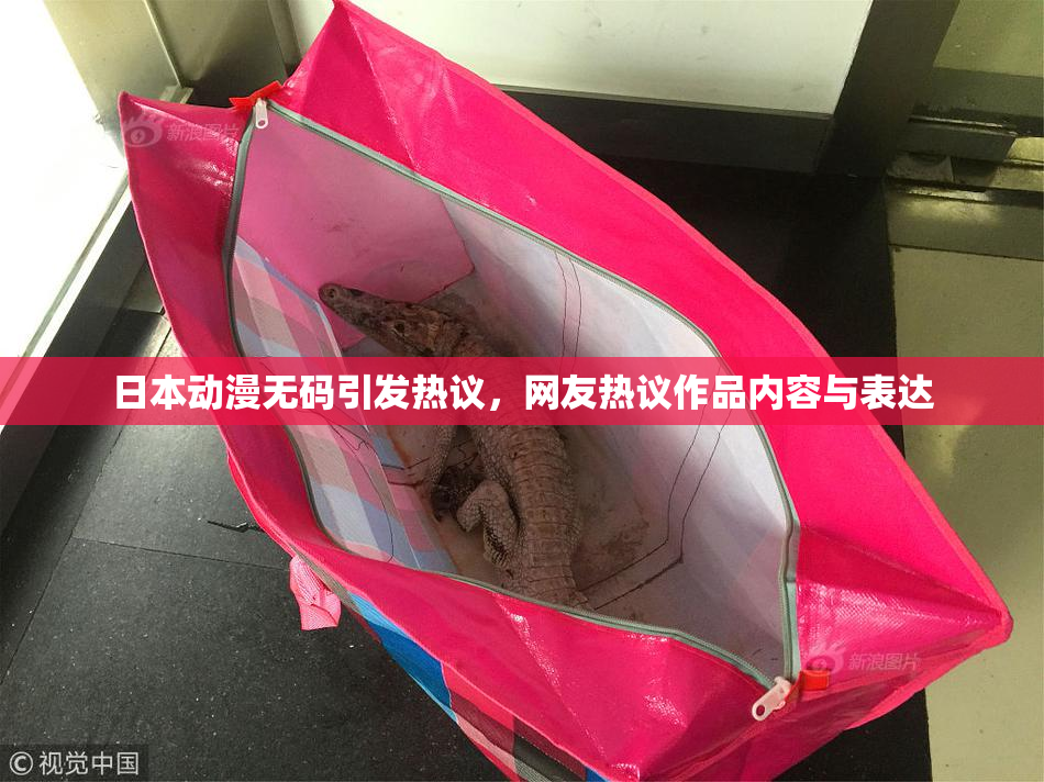 日本动漫无码引发热议，网友热议作品内容与表达
