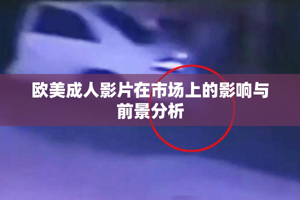 欧美成人影片在市场上的影响与前景分析