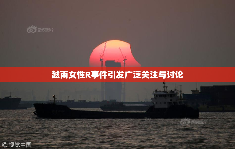 越南女性R事件引发广泛关注与讨论