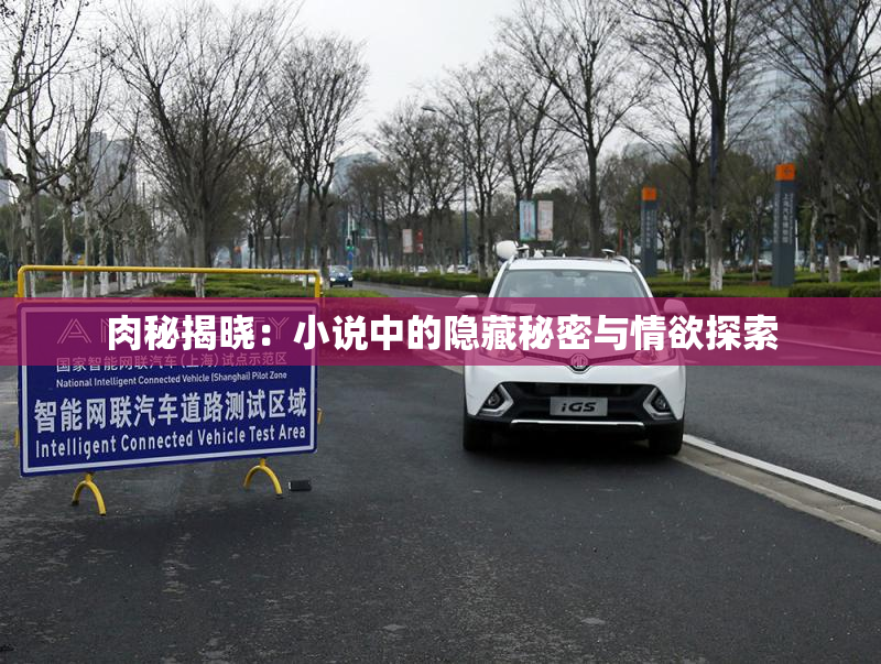 肉秘揭晓：小说中的隐藏秘密与情欲探索