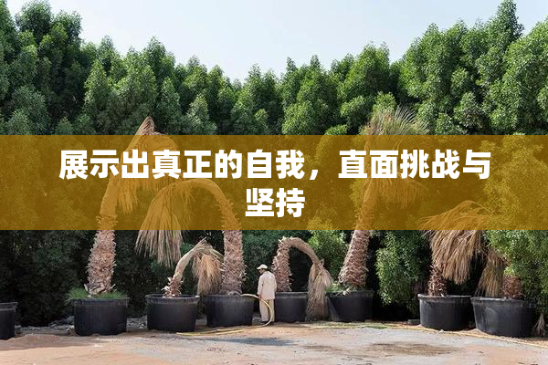 展示出真正的自我，直面挑战与坚持