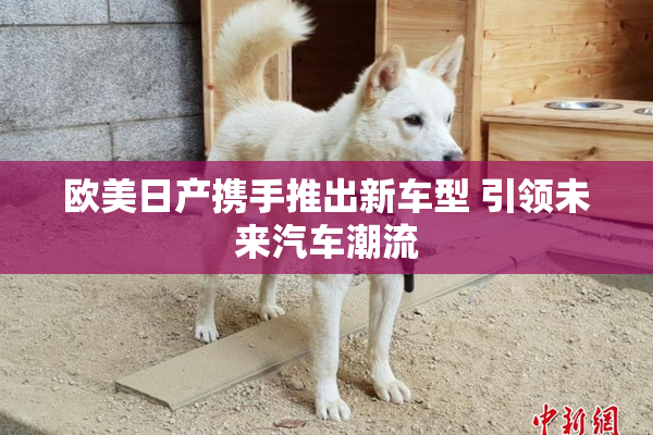 欧美日产携手推出新车型 引领未来汽车潮流