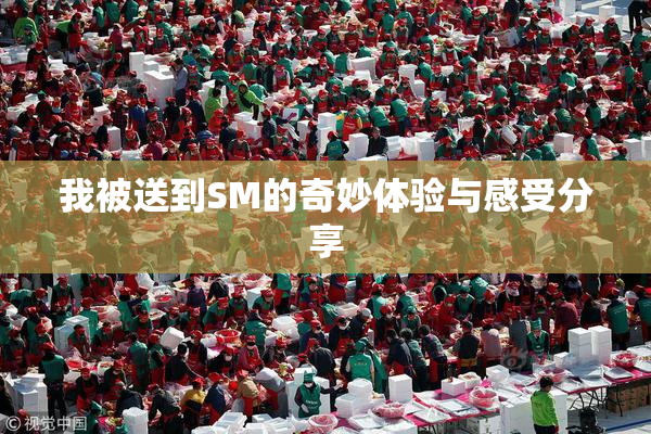 我被送到SM的奇妙体验与感受分享