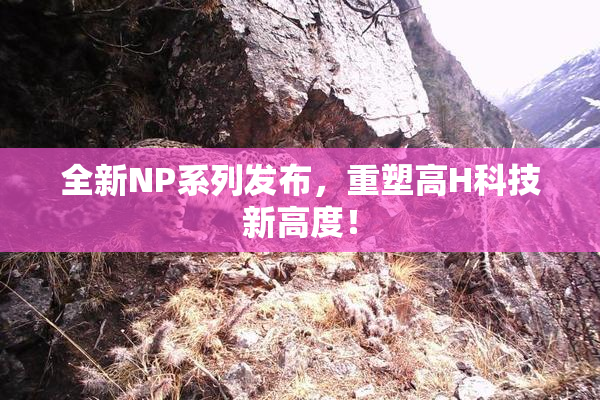 全新NP系列发布，重塑高H科技新高度！