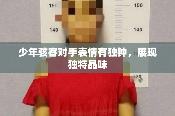 少年骇客对手表情有独钟，展现独特品味