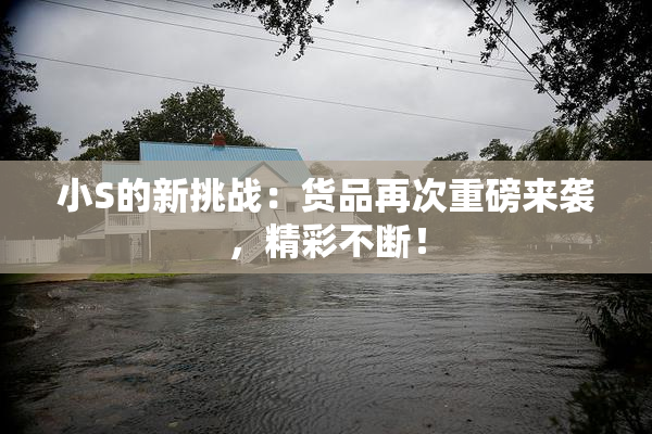 小S的新挑战：货品再次重磅来袭，精彩不断！