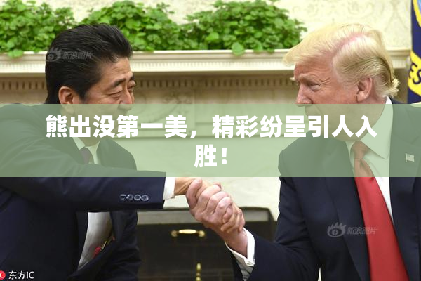 熊出没第一美，精彩纷呈引人入胜！