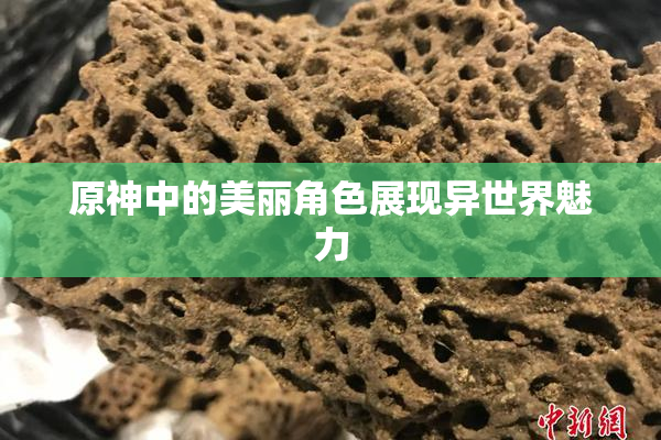 原神中的美丽角色展现异世界魅力