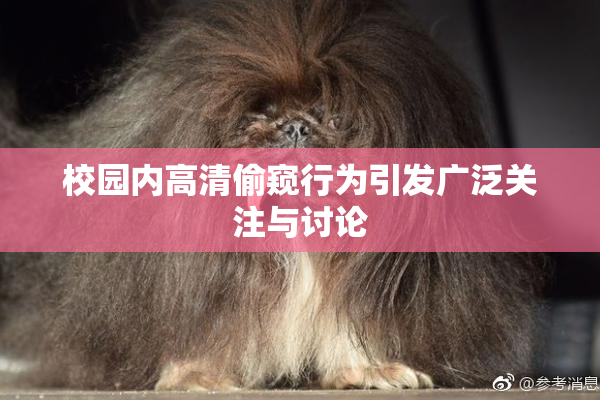 校园内高清偷窥行为引发广泛关注与讨论