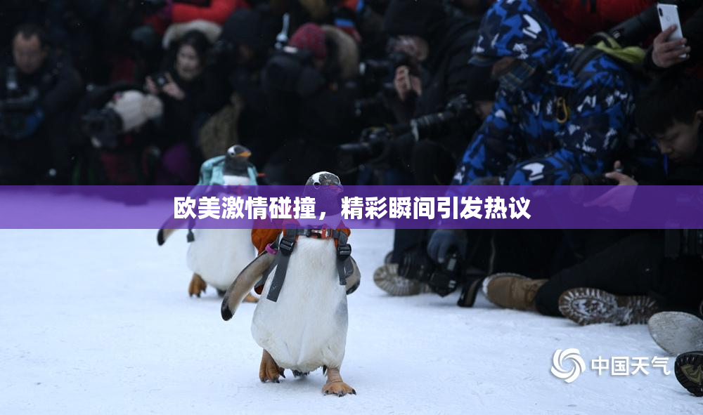 欧美激情碰撞，精彩瞬间引发热议