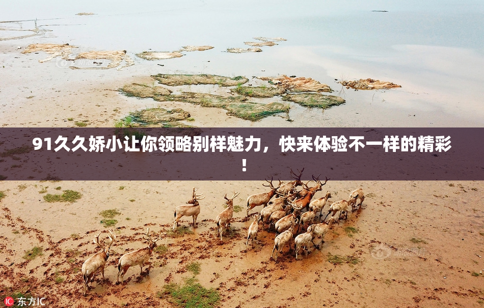 91久久娇小让你领略别样魅力，快来体验不一样的精彩！