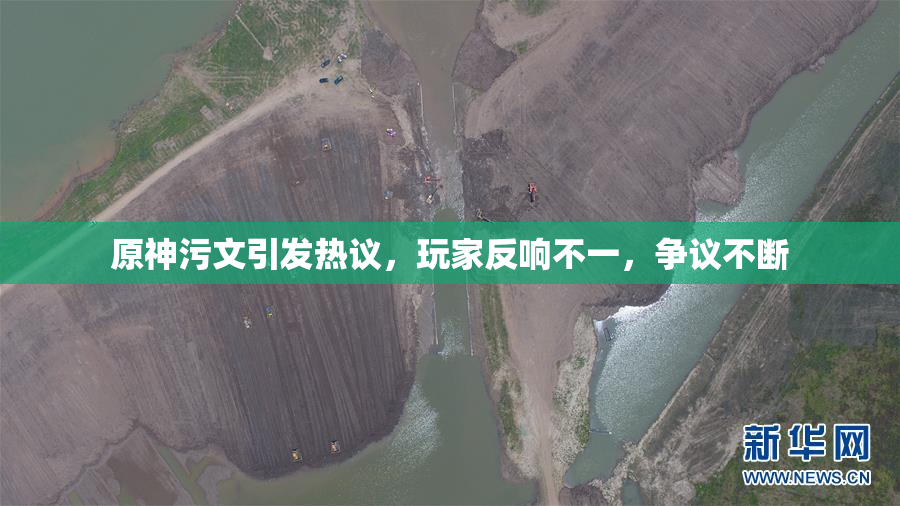 原神污文引发热议，玩家反响不一，争议不断
