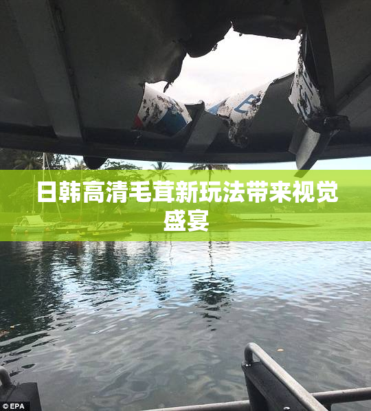 日韩高清毛茸新玩法带来视觉盛宴