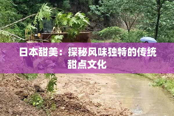 日本甜美：探秘风味独特的传统甜点文化