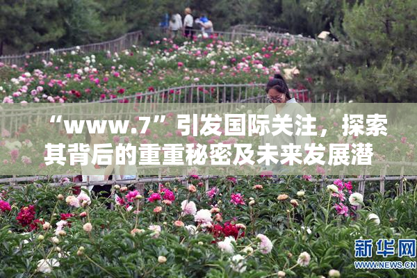 “www.7”引发国际关注，探索其背后的重重秘密及未来发展潜力。