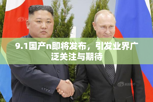 9.1国产n即将发布，引发业界广泛关注与期待
