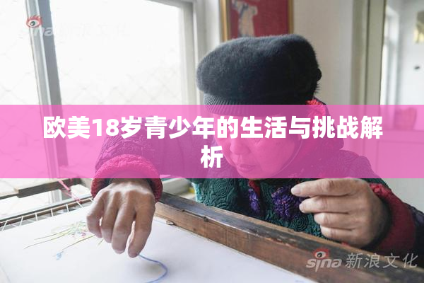 欧美18岁青少年的生活与挑战解析