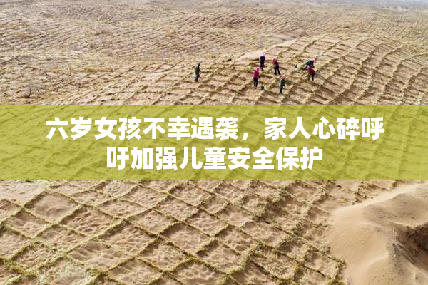 六岁女孩不幸遇袭，家人心碎呼吁加强儿童安全保护