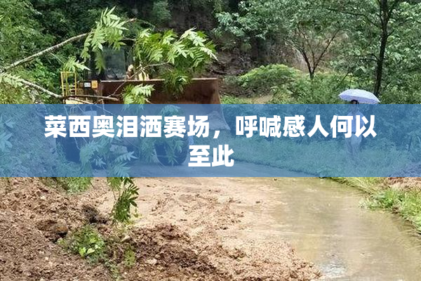 菜西奥泪洒赛场，呼喊感人何以至此
