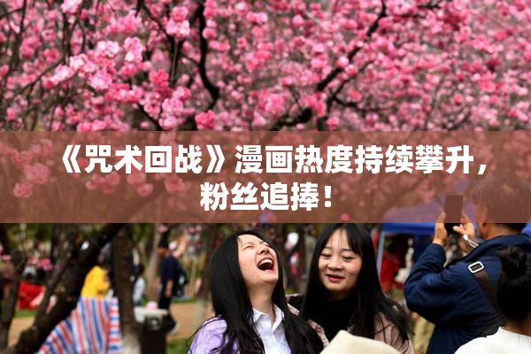 《咒术回战》漫画热度持续攀升，粉丝追捧！