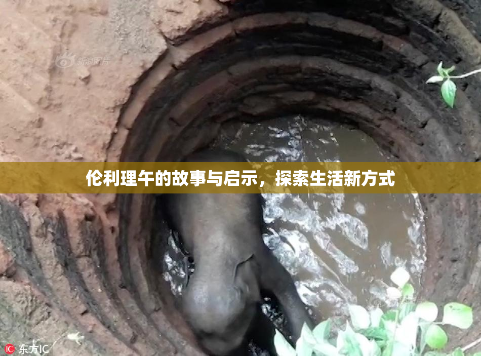 伦利理午的故事与启示，探索生活新方式