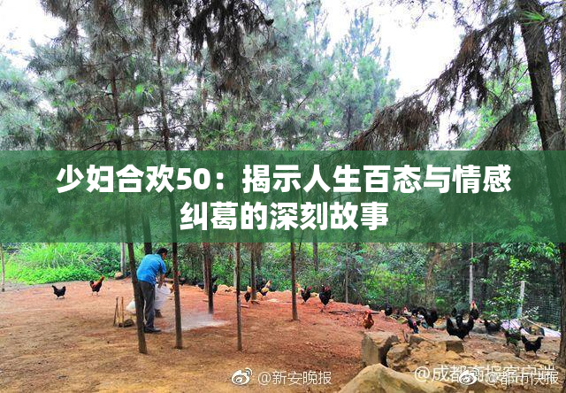 少妇合欢50：揭示人生百态与情感纠葛的深刻故事