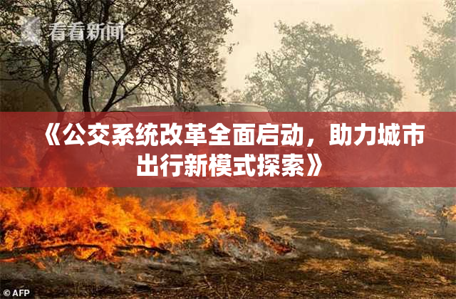 《公交系统改革全面启动，助力城市出行新模式探索》